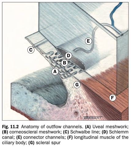 Outflow channels