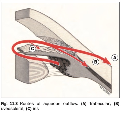 Outflow routes