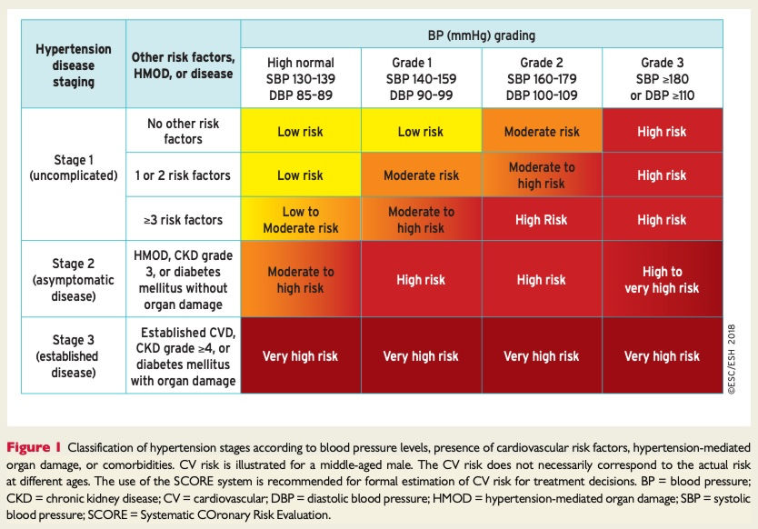 risk classification