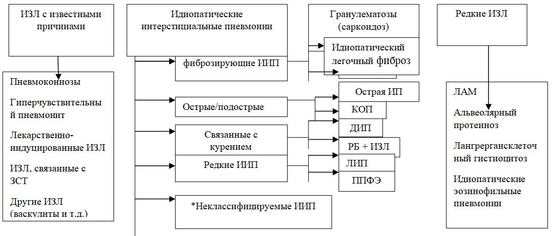 Классификация